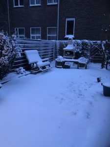 sneeuw in de tuin